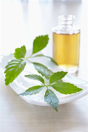 Herbs with aromatic oil for aromatherapy Foto de stock - Sin royalties Premium, Código: 600-06675005