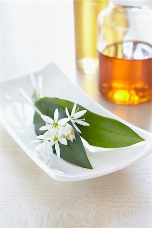 Herbs, fresh wild garlic, blossom, bottles of oil Photographie de stock - Premium Libres de Droits, Code: 600-06675030