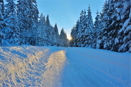 path into the sun - Snowy Road with Conifer Forest in the Winter, Grafenau, Lusen, National Park Bavarian Forest, Bavaria, Germany Stock Photo - Premium Royalty-Free, Code: 600-06701976
