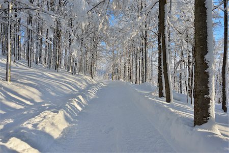 simsearch:600-06894795,k - Snowy Path in Winter Forest, Grafenau, Lusen, National Park Bavarian Forest, Bavaria, Germany Photographie de stock - Premium Libres de Droits, Code: 600-06701979