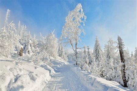 flocon de neige - Snowy Path in Winter Forest, Grafenau, Lusen, National Park Bavarian Forest, Bavaria, Germany Photographie de stock - Premium Libres de Droits, Code: 600-06701980