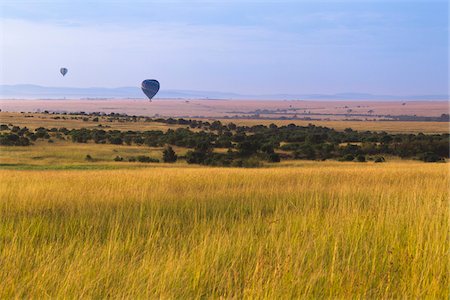 Hot Air Balloons Flying over Masai Mara National Reserve, Kenya Foto de stock - Sin royalties Premium, Código: 600-06713959