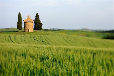 simsearch:600-06732552,k - Chapel of Vitaleta with Cypress Trees in green field, Val d´Orcia, Siena Province, Tuscany, Italy. Stock Photo - Premium Royalty-Free, Code: 600-06732545