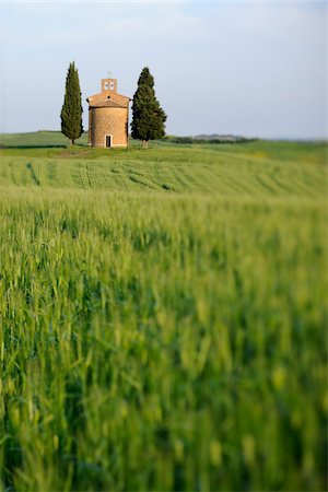 simsearch:600-06732607,k - Chapel of Vitaleta with Cypress Trees in green field, Val d´Orcia, Siena Province, Tuscany, Italy. Foto de stock - Sin royalties Premium, Código: 600-06732546