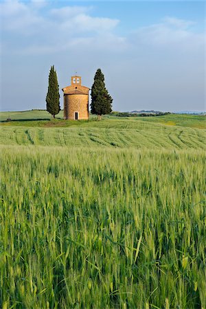 simsearch:600-06732559,k - Chapel of Vitaleta with Cypress Trees in green field, Val d´Orcia, Siena Province, Tuscany, Italy. Foto de stock - Sin royalties Premium, Código: 600-06732547