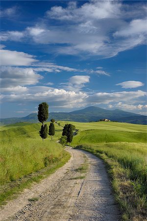 simsearch:600-06732602,k - Cypress trees along country road, through green fields. Pienza, Val d´Orcia, Siena Province, Tuscany, Italy. Stock Photo - Premium Royalty-Free, Code: 600-06732550