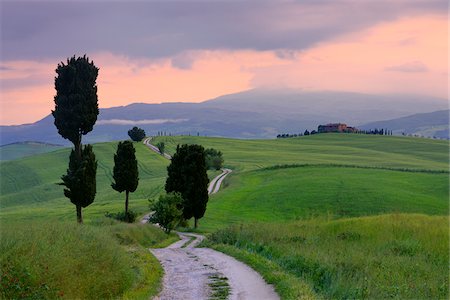 scenic mountain sunset views - Cypress trees along country road, sunset. Pienza, Val d'Orcia, Tuscany, Italy. Stock Photo - Premium Royalty-Free, Code: 600-06732588