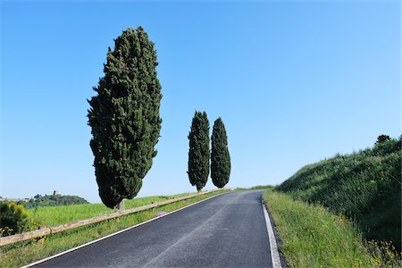 paved road horizon - Rural Road lined with Cypress Trees (Cupressus sempervirens). Pienza, Siena district, Tuscany, Toscana, Italy. Stock Photo - Premium Royalty-Free, Code: 600-06732606