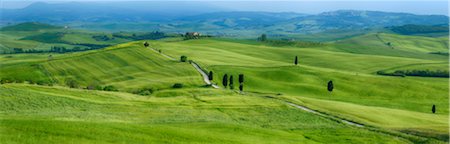 scenic byway - Track passing through green fields with cypress trees. Pienza, Siena Province, Val d´Orcia, Tuscany, Italy. Stock Photo - Premium Royalty-Free, Code: 600-06732610