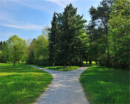 strassengabelung - Forked Pathway with Meadow in Spring, Aschaffenburg, Bavaria, Germany Stockbilder - Premium RF Lizenzfrei, Bildnummer: 600-06758227