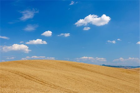 field sky landscape - Wheat Field with Puffy Clouds in Sky in Summer, Val d Orcia, Siena Province, Tuscany, Italy Stock Photo - Premium Royalty-Free, Code: 600-06758330