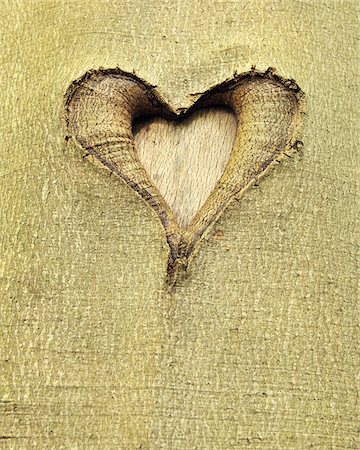 Heart Carved into Beech Tree Trunk, Hallerbos, Halle, Flemish Brabant, Vlaams Gewest, Belgium Foto de stock - Sin royalties Premium, Código: 600-06752581