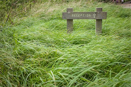 simsearch:614-03747878,k - Reception Sign with Arrow in Grass, England Foto de stock - Sin royalties Premium, Código: 600-06773195