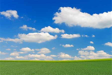 Grain field and Cloudy sky, Springtime, Hesse, Germany Stockbilder - Premium RF Lizenzfrei, Bildnummer: 600-06786748