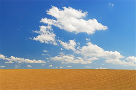 farm field, sky - Field and Cloudy sky, Springtime, Hesse, Germany Stock Photo - Premium Royalty-Free, Code: 600-06786754