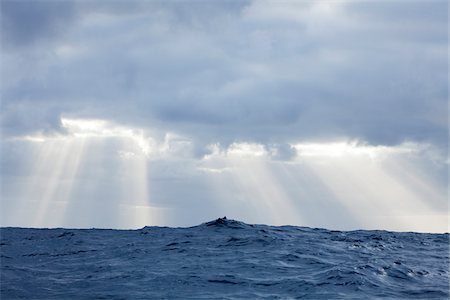 rayo de sol - Sun rays shine through clouds casting beams of light after a storm in the Atlantic Ocean Foto de stock - Sin royalties Premium, Código: 600-06782127
