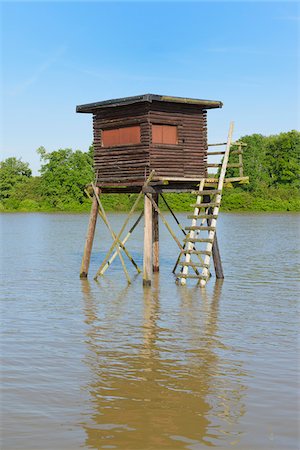 Hunting Blind in Flooded Area, Nature Reserve Kuehkopf-Knoblochsaue, Hesse, Germany, Europe Stock Photo - Premium Royalty-Free, Code: 600-06808868