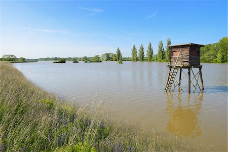 Hunting Blind in Flooded Area, Nature Reserve Kuehkopf-Knoblochsaue, Hesse, Germany, Europe Photographie de stock - Premium Libres de Droits, Code: 600-06808870