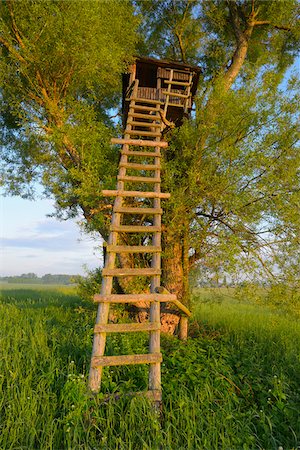 elevated sky - Hunting Blind in Tree, Hesse, Germany, Europe Stock Photo - Premium Royalty-Free, Code: 600-06803930