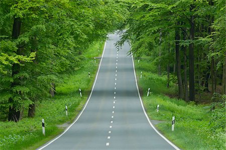 european road markers - Road through beech forest, Spessart, Bavaria, Germany, Europe Stock Photo - Premium Royalty-Free, Code: 600-06841685