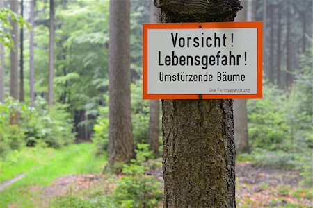 Danger sign, Fallen Trees, Forest, Spessart, Bavaria, Germany, Europe Stock Photo - Premium Royalty-Free, Code: 600-06841682