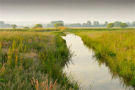 stream - Wetland in morning light, Hesse, Germany, Europe Photographie de stock - Premium Libres de Droits, Code: 600-06841701