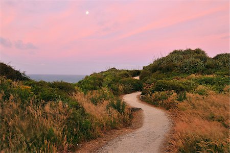 Path at Dusk, Cape Foulwind, Westport, South Island, West Coast-Tasman, New Zealand Stockbilder - Premium RF Lizenzfrei, Bildnummer: 600-06841914