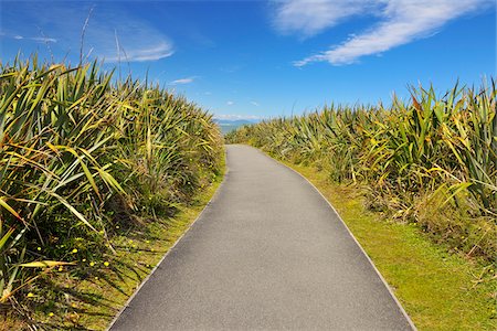 scenic road curve - Footpath in Summer, Pancake Rocks, West Coast, South Island, New Zealand Stock Photo - Premium Royalty-Free, Code: 600-06841918