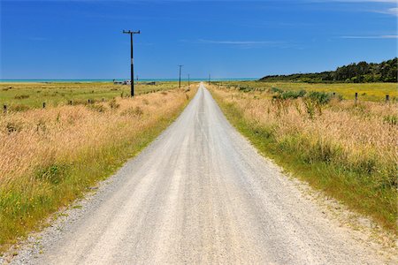 simsearch:600-06841918,k - Gravel Road in Summer, Burke Road, Barrytown, West Coast, South Island, New Zealand Stock Photo - Premium Royalty-Free, Code: 600-06841921