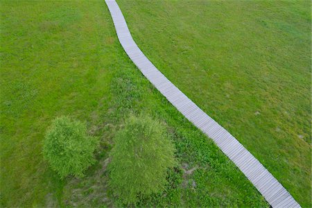 pelouse - Aerial View of Boardwalk through Black Moor, UNESCO Biosphere Reserve, Rhon Mountains, Bavaria, Germany Photographie de stock - Premium Libres de Droits, Code: 600-06894807