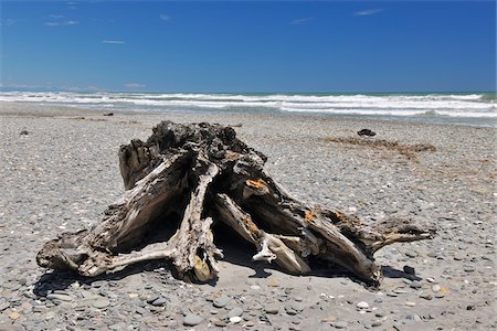 Stone Beach with Driftwood Roots in Summer, Burke Road, Barrytown, West Coast, South Island, New Zealand Foto de stock - Sin royalties Premium, Código: 600-06894938