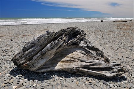 Stone Beach with Driftwood in Summer, Burke Road, Barrytown, West Coast, South Island, New Zealand Fotografie stock - Premium Royalty-Free, Codice: 600-06894939