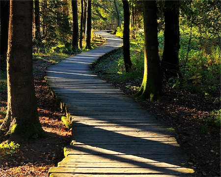 rhön-grabfeld - Boardwalk through Bog, Schwarzes Moor, Fladungen, Rhon Mountains, Bavaria, Germany Stockbilder - Premium RF Lizenzfrei, Bildnummer: 600-06899706