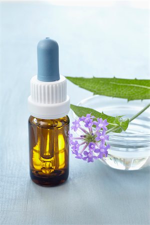 Still life of Bach flowers (Vervain), medicine bottle and bowl of water, Germany Photographie de stock - Premium Libres de Droits, Code: 600-06899787