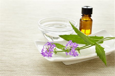 Still life of Bach flowers (Vervain), medicine bottle and bowl of water, Germany Foto de stock - Sin royalties Premium, Código: 600-06899790