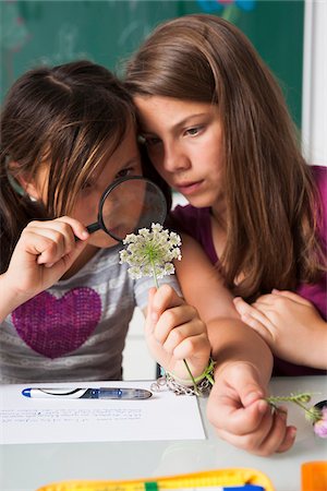estudiante (mujer) - Girls in classroom examining flowers with magnifying glass, Germany Foto de stock - Sin royalties Premium, Código: 600-06899911