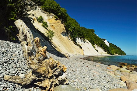 Chalk Cliffs and Driftwood on Rocky Beach, Jasmund National Park, Ruegen Island, Mecklenburg-Vorpommern, Germany Foto de stock - Royalty Free Premium, Número: 600-06892728