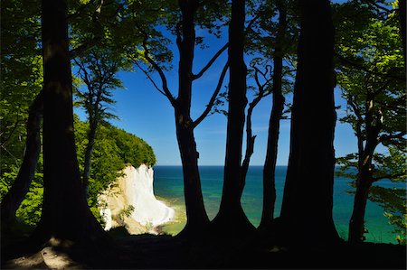 Chalk Cliffs and Silhouetted Tree Trunks, Jasmund National Park, Ruegen Island, Mecklenburg-Vorpommern, Germany Foto de stock - Sin royalties Premium, Código: 600-06892737