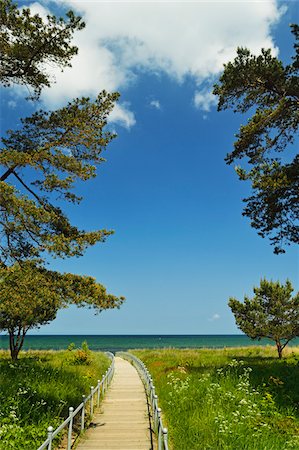 rügen - Walkway towards Water, Ruegen Island, Mecklenburg-Vorpommern, Germany Stockbilder - Premium RF Lizenzfrei, Bildnummer: 600-06892742