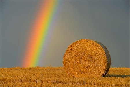 Straw roll on stubblefield with rainbow, Hesse, Germany, Europe Foto de stock - Sin royalties Premium, Código: 600-06939734