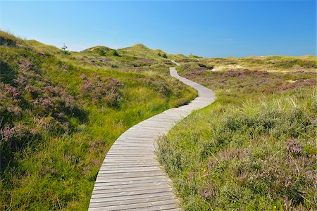 richtung - Wooden Walkway through Dunes, Summer, Norddorf, Amrum, Schleswig-Holstein, Germany Photographie de stock - Premium Libres de Droits, Code: 600-06964209