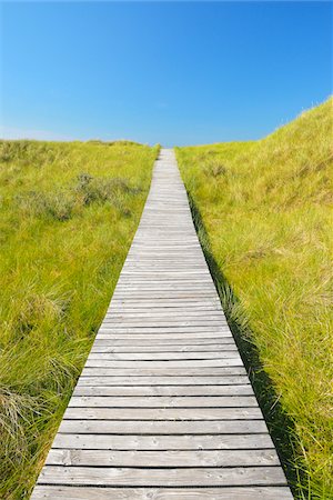 Wooden Walkway through Dunes, Summer, Norddorf, Amrum, Schleswig-Holstein, Germany Stock Photo - Premium Royalty-Free, Code: 600-06964214