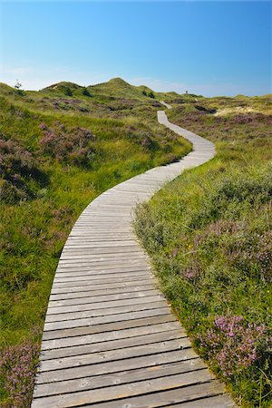 pathway perspective - Wooden Walkway through Dunes, Summer, Norddorf, Amrum, Schleswig-Holstein, Germany Stock Photo - Premium Royalty-Free, Code: 600-06964215