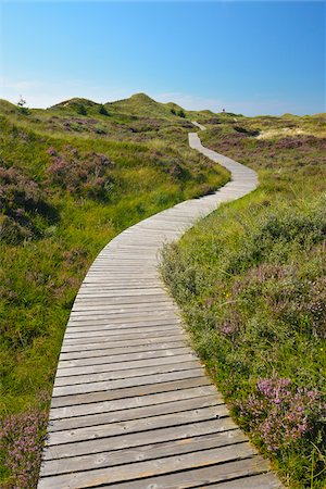 shrubs walkway - Wooden Walkway through Dunes, Summer, Norddorf, Amrum, Schleswig-Holstein, Germany Photographie de stock - Premium Libres de Droits, Code: 600-06964215