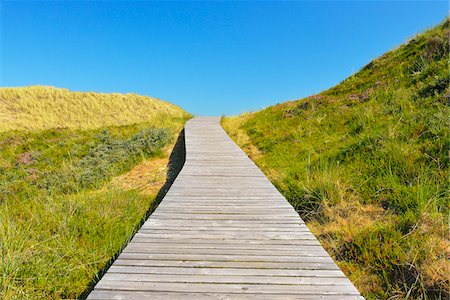 perspective in fields - Wooden Walkway through Dunes, Summer, Norddorf, Amrum, Schleswig-Holstein, Germany Stock Photo - Premium Royalty-Free, Code: 600-06964216