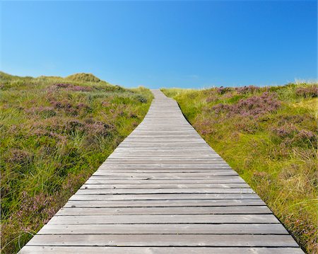 strandpromenade - Wooden Walkway through Dunes, Summer, Norddorf, Amrum, Schleswig-Holstein, Germany Stockbilder - Premium RF Lizenzfrei, Bildnummer: 600-06964212