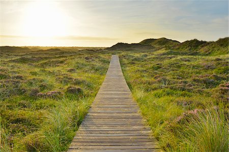 paseos marítimos - Wooden Walkway through Dunes with Sun, Summer, Norddorf, Amrum, Schleswig-Holstein, Germany Foto de stock - Sin royalties Premium, Código: 600-06964235