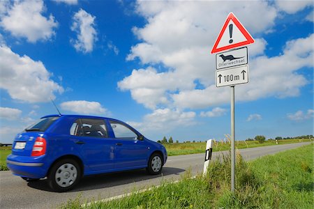 Car on Road and Otter Crossing Sign, Fischland-Darss-Zingst, Mecklenburg-Western Pomerania, Germany Stockbilder - Premium RF Lizenzfrei, Bildnummer: 600-06962163