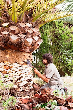 Man peeling palm tree with blade, Majorca, Spain Stock Photo - Premium Royalty-Free, Code: 600-07067240