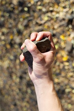 Picking Stone, Manzanita, Tillamook County, Oregon, USA - Stock